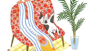 استراحت سیستماتیک یا استراحت خودتنظیمی | رادیو یارا | قسمت ۴۵