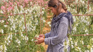 چطور عادت های جدید ایجاد کنیم؟