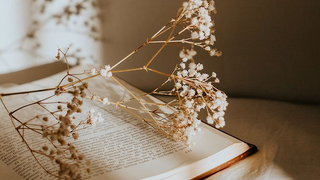 فواید شگفت‌انگیز نوشتن شکرگزاری برای ذهن و بدن